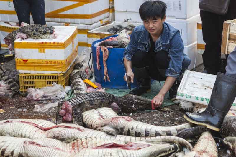 mercado húmedo en China